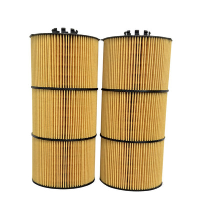 P551005 Donaldson Lube Filter, Cartridge - Pack of 2 - Crossfilters