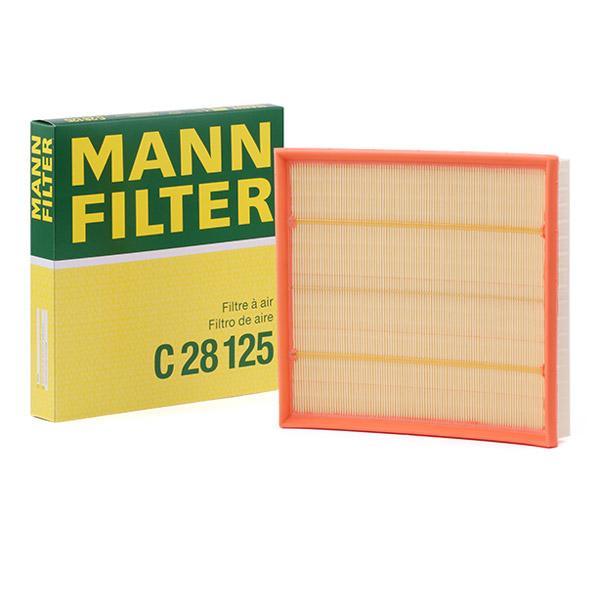 C28125/1 Mann Air Filter Element